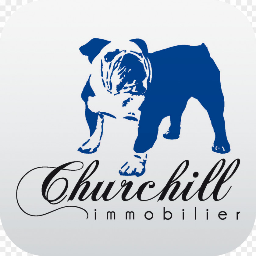 Non-sporting Group Churchill Immobilier Altis SARL Dog Breed Bulldog Real Property PNG