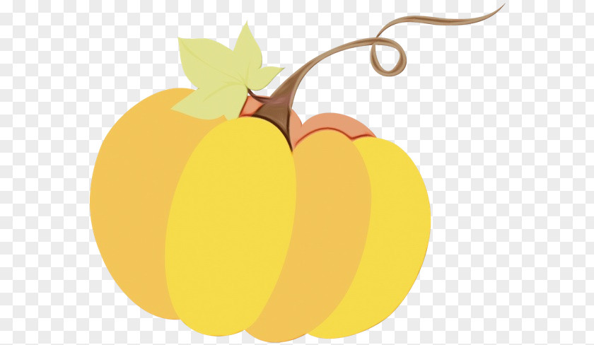 Pumpkin PNG