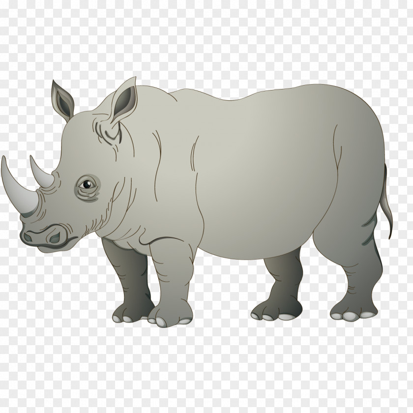Cartoon Rhino Rhinoceros 3D PNG