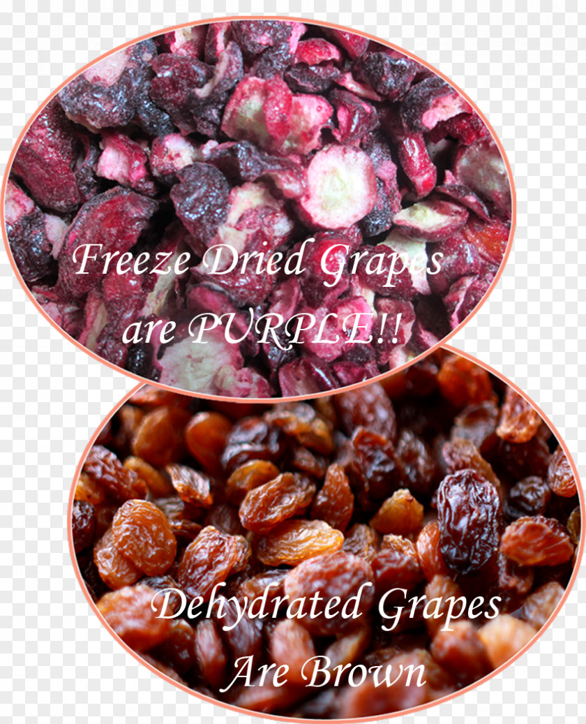 Dry Grapes Camping Food Freeze-drying Drying Dehydration PNG