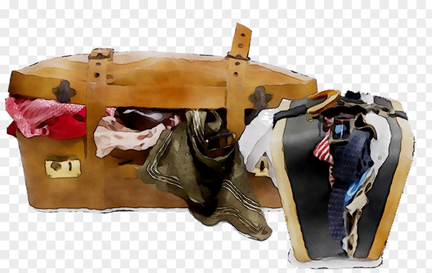 Handbag Dream Clothing Suitcase Dress PNG
