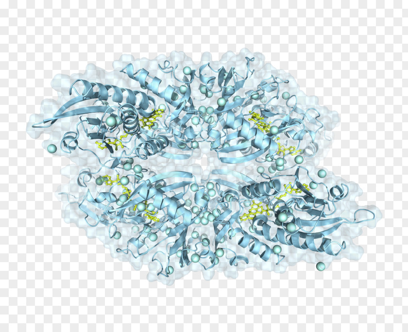 Hot Surface Transparency And Translucency Active Site Residue Protein PNG