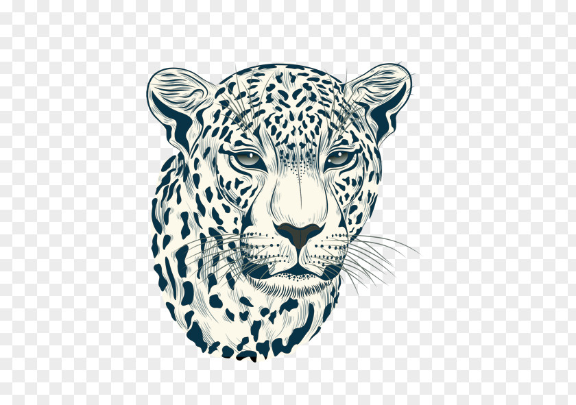 King Tiger Cheetah Jaguar Leopard Felidae PNG
