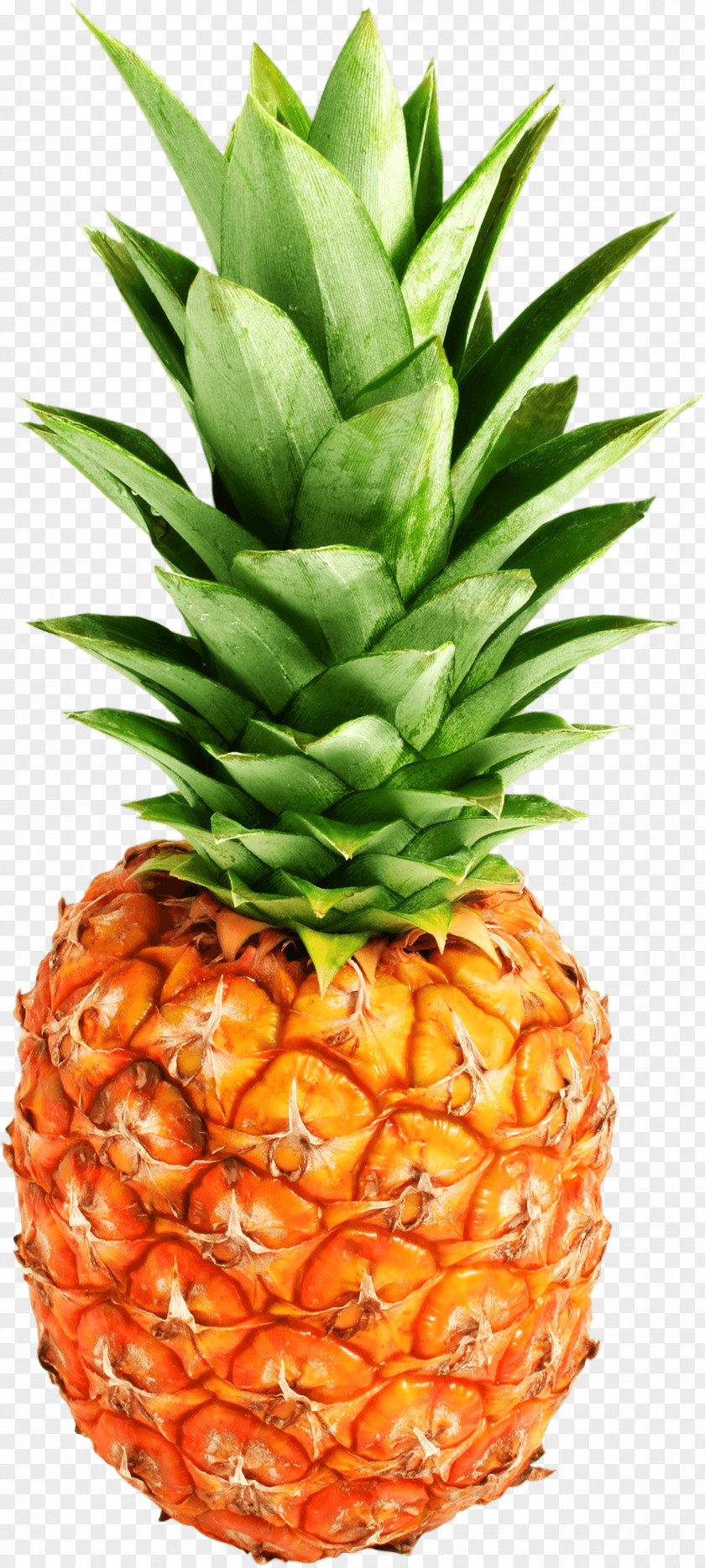 Pineapple Image Download Juice IPhone 7 PNG