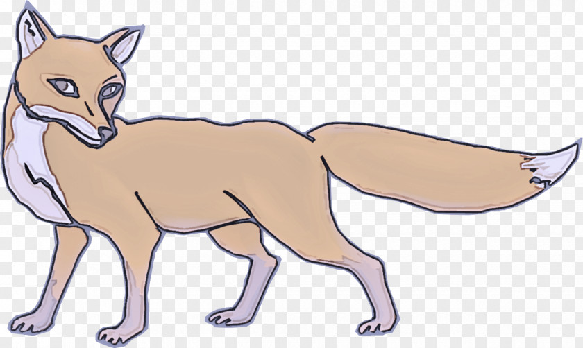 Snout Terrestrial Animal Wildlife Cartoon Line Art Swift Fox PNG
