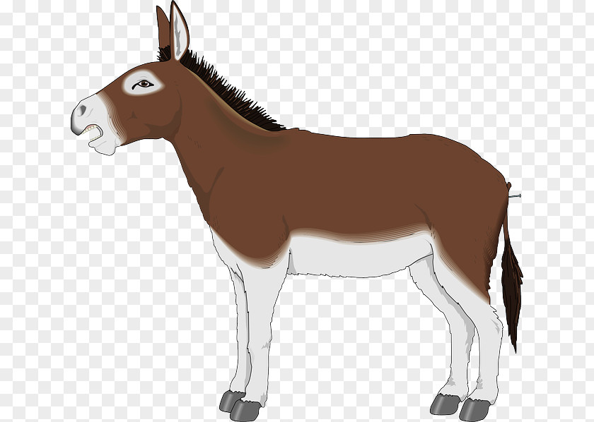 Donkey Cartoon Clip Art PNG