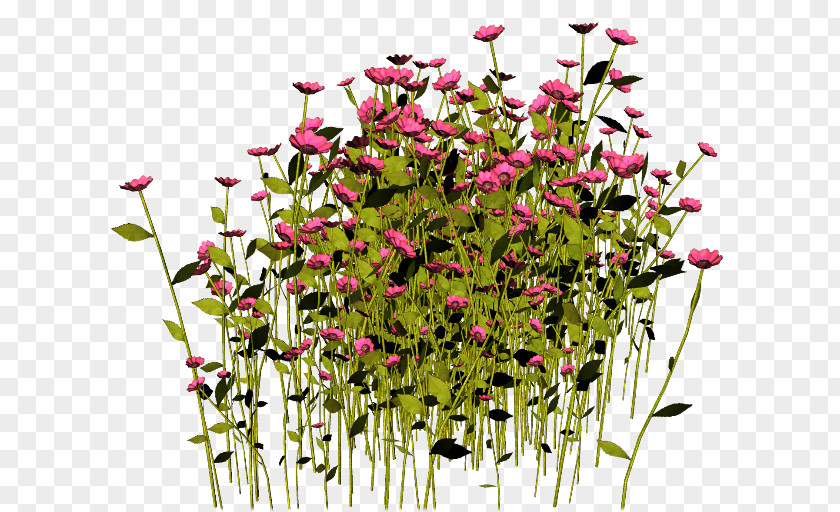 Flower Floral Design PhotoScape Clip Art PNG