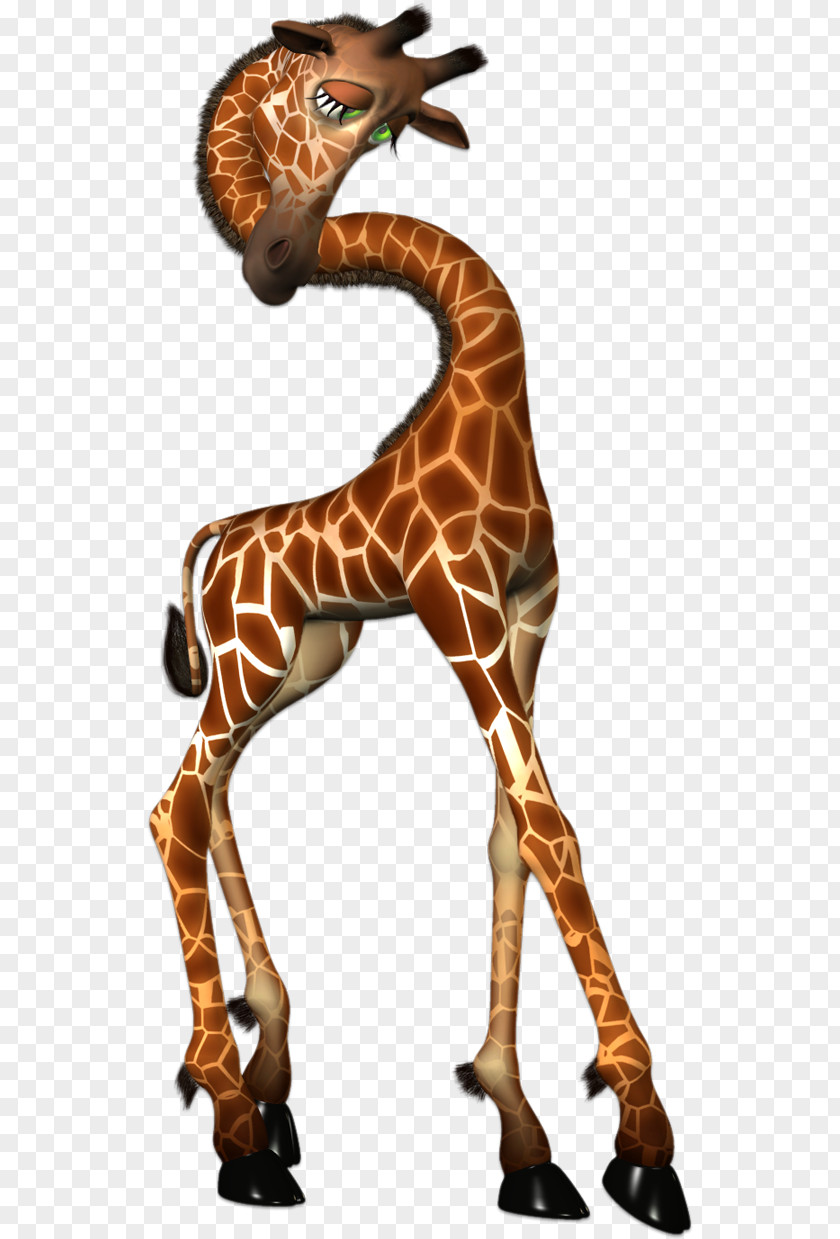 Giraffe Northern Clip Art PNG
