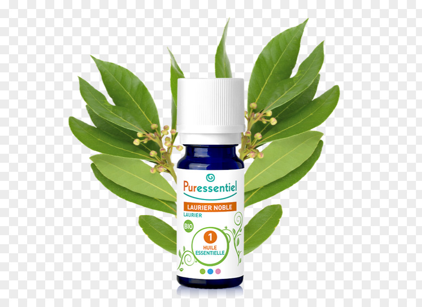 Oil Essential Parafarmacia Cananga Odorata Vegetable PNG