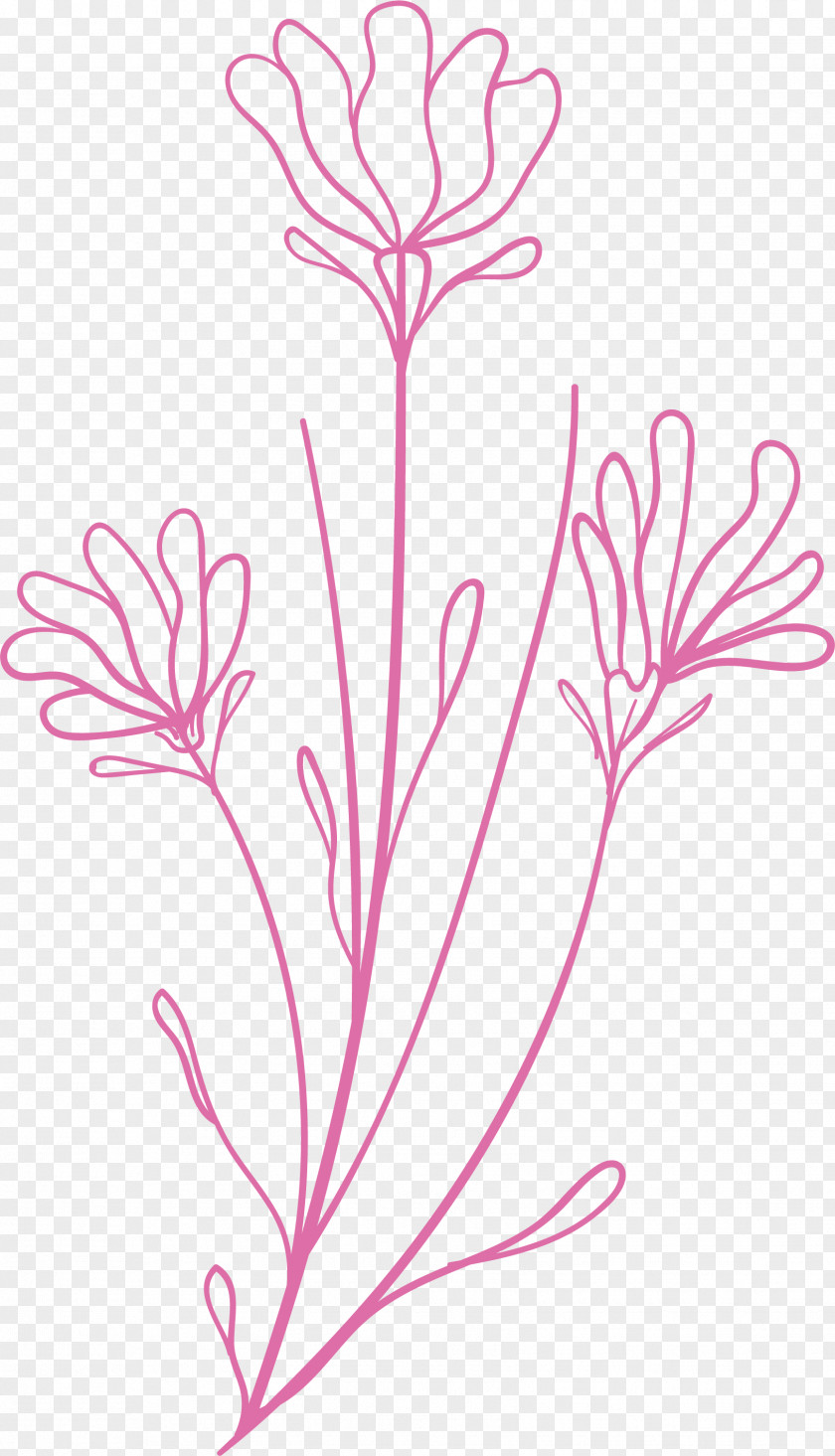 Simple Leaf Drawing Outline PNG