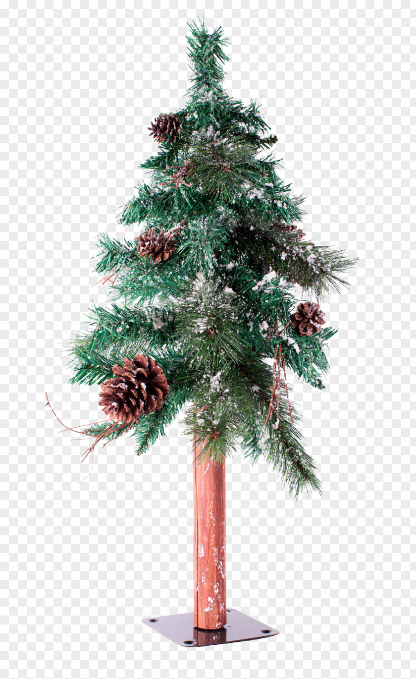 Tree New Year Artificial Christmas Spruce Conifer Cone PNG