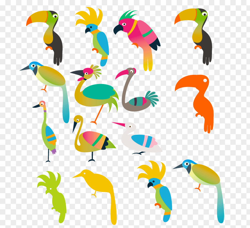 Variety Of Birds Vector Bird Parrot Budgerigar Illustration PNG