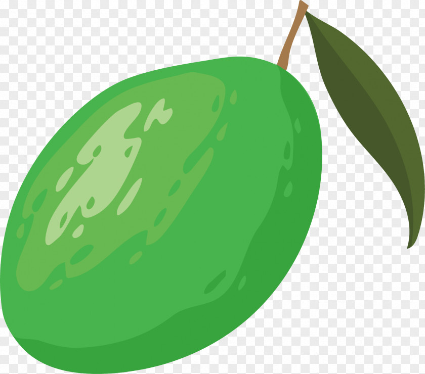 Vector Illustration Of Lemon Cartoon PNG