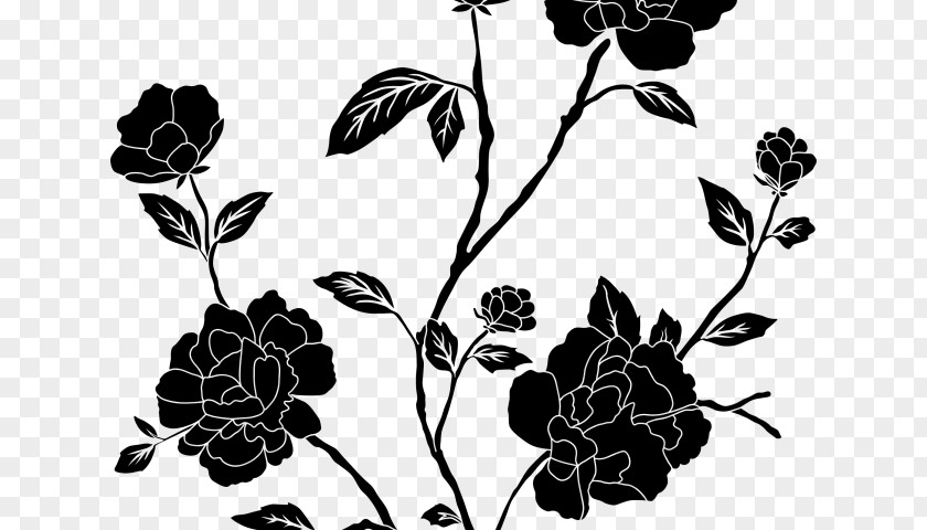 Black Rose Transparent Background Drawing Clip Art PNG