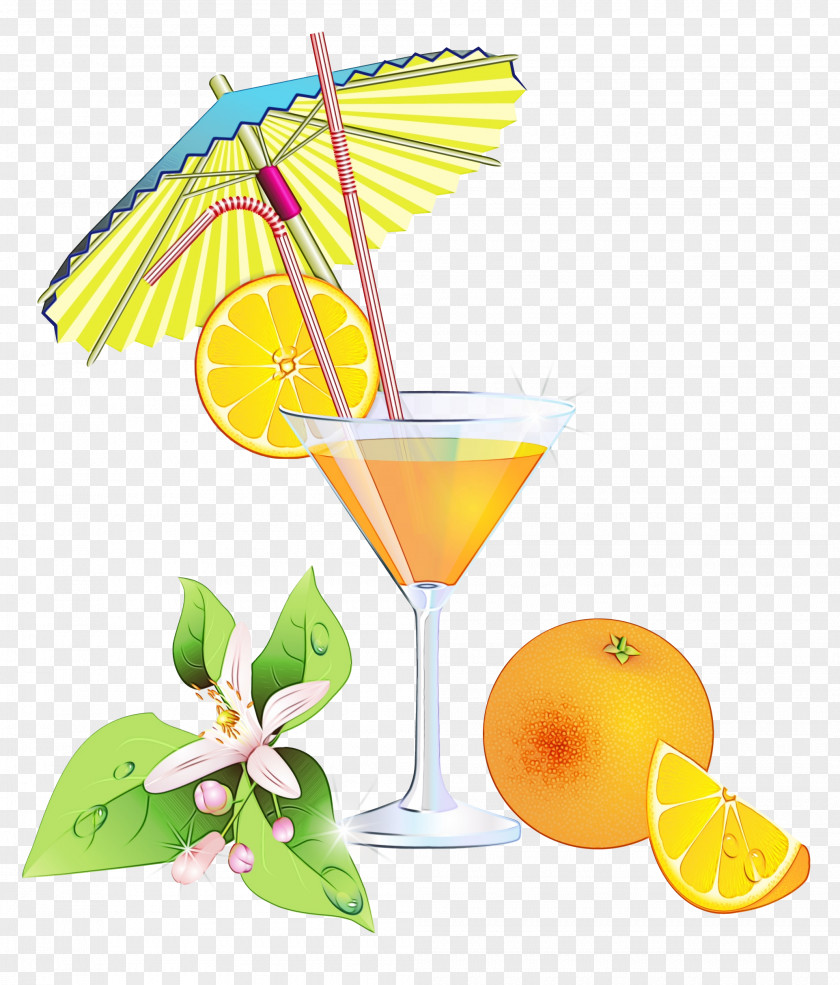 Cocktail Garnish Orange Drink Harvey Wallbanger Daiquiri Martini PNG