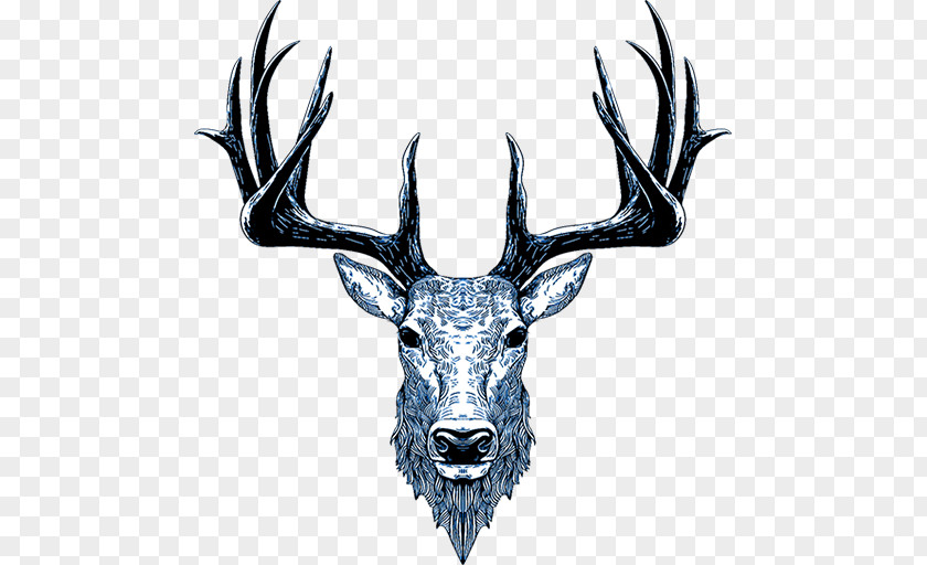Deer Red Elk PNG