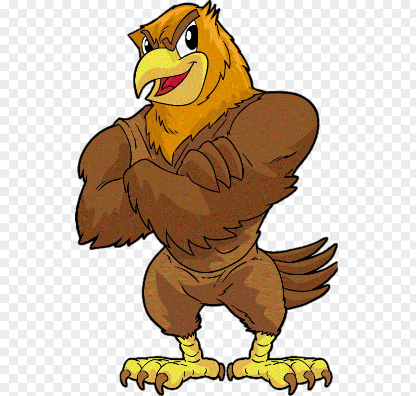 Eagle Clip Art Henery Hawk Image Cartoon PNG