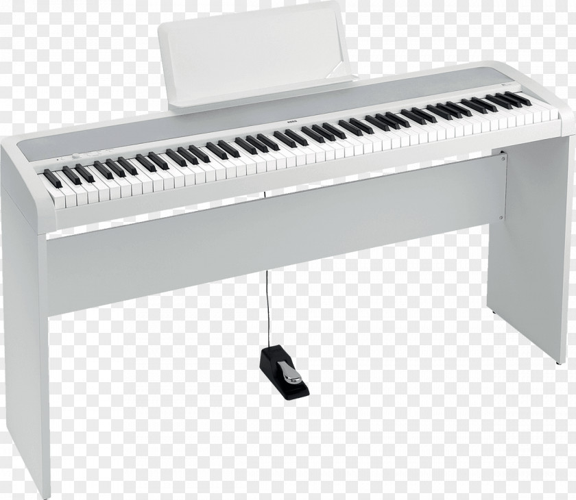 Electronic Piano KORG B1SP Digital Stage PNG