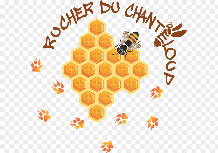 Honey Bee Rucher Du Chanteloup Beehive Honeycomb Beekeeping PNG