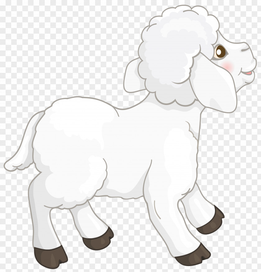 Transparent White Lamb Clipart Picture Sheep Goat Clip Art PNG
