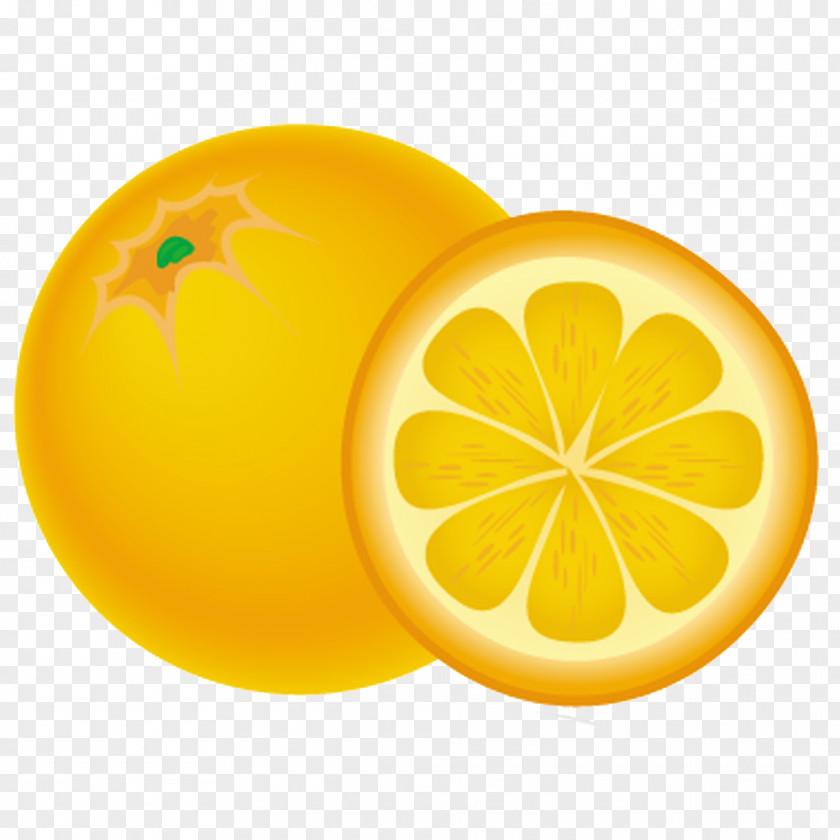 Amarillo Naranja Swedish Cuisine Fruit Flashcard Drawing PNG