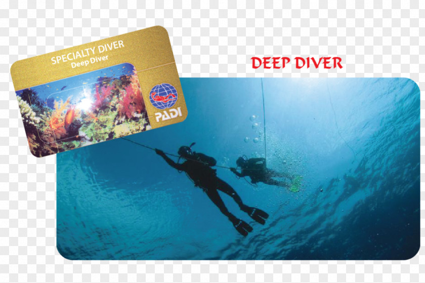 Deep Diving Brand Professional Association Of Instructors PNG