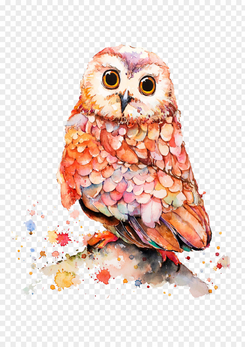 Hand-painted Owl Cartoon Illustration PNG