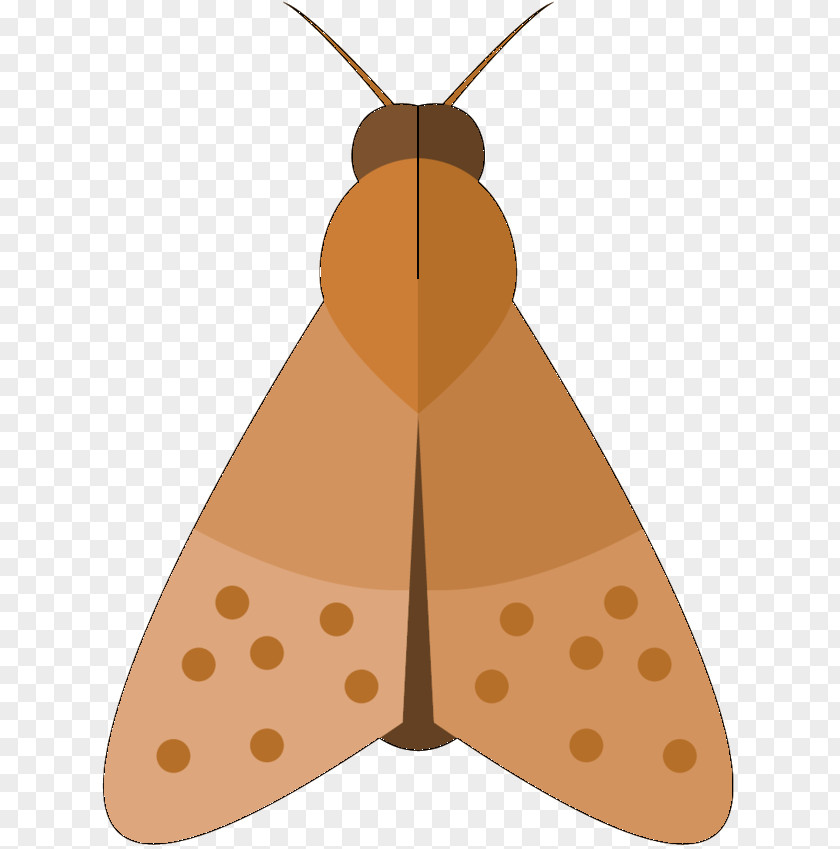 Moth M. Butterfly Clip Art Symmetry Product Design PNG