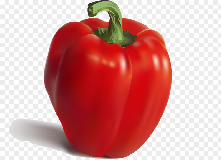 Red Pepper Nutrient Pimiento Bell Food Vegetable PNG