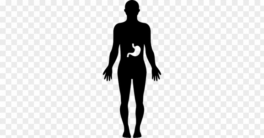 Silhouette Human Body Homo Sapiens PNG