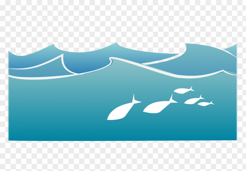 The Water In Ocean Seawater Wind Wave PNG