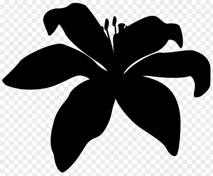 Clip Art Leaf Plant Stem Silhouette Flowering PNG