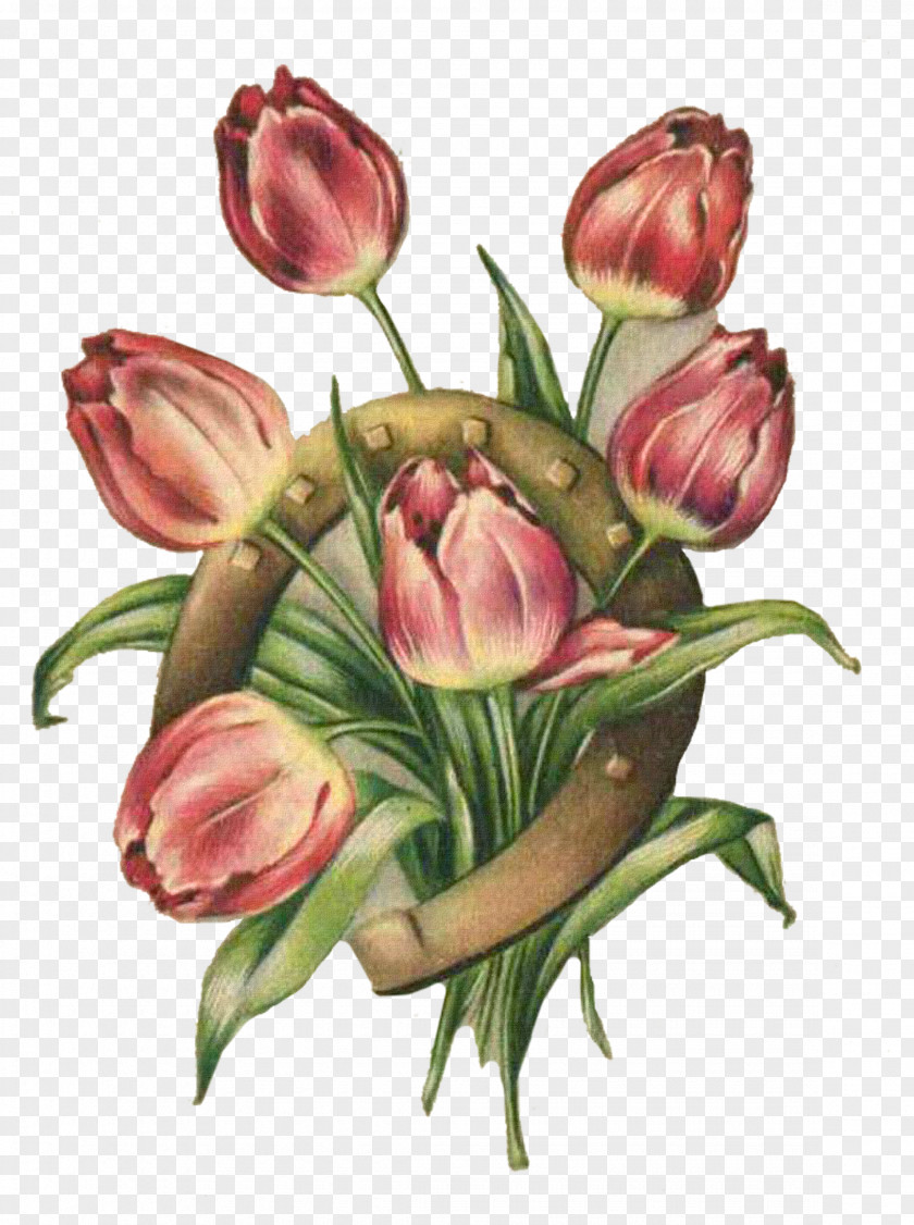 Flowers Tulip Bouquet Painting Flower Still Life PNG