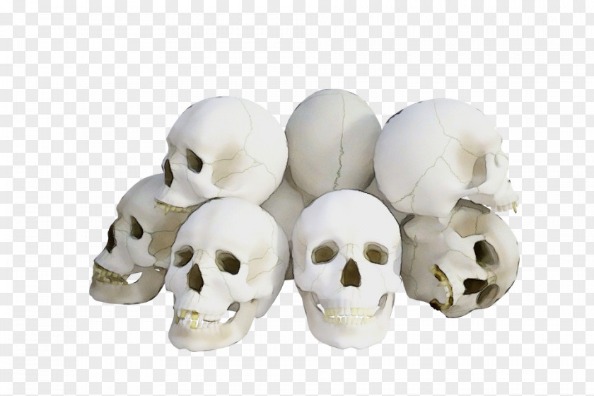 Head Skull Bone White PNG