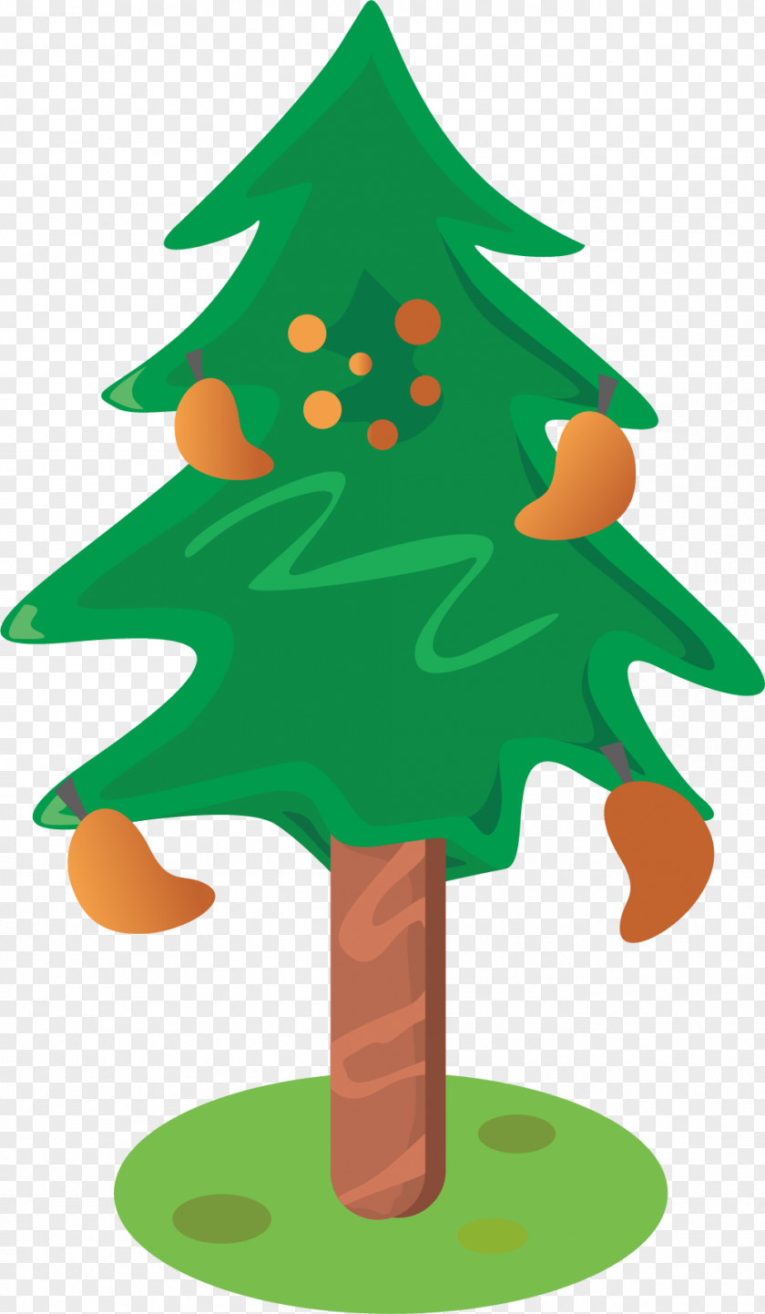 The Christmas Tree Citrus Xd7 Sinensis Fruit PNG
