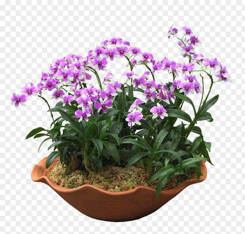 Bonsai Grow Light Light-emitting Diode Flowerpot Houseplant PNG