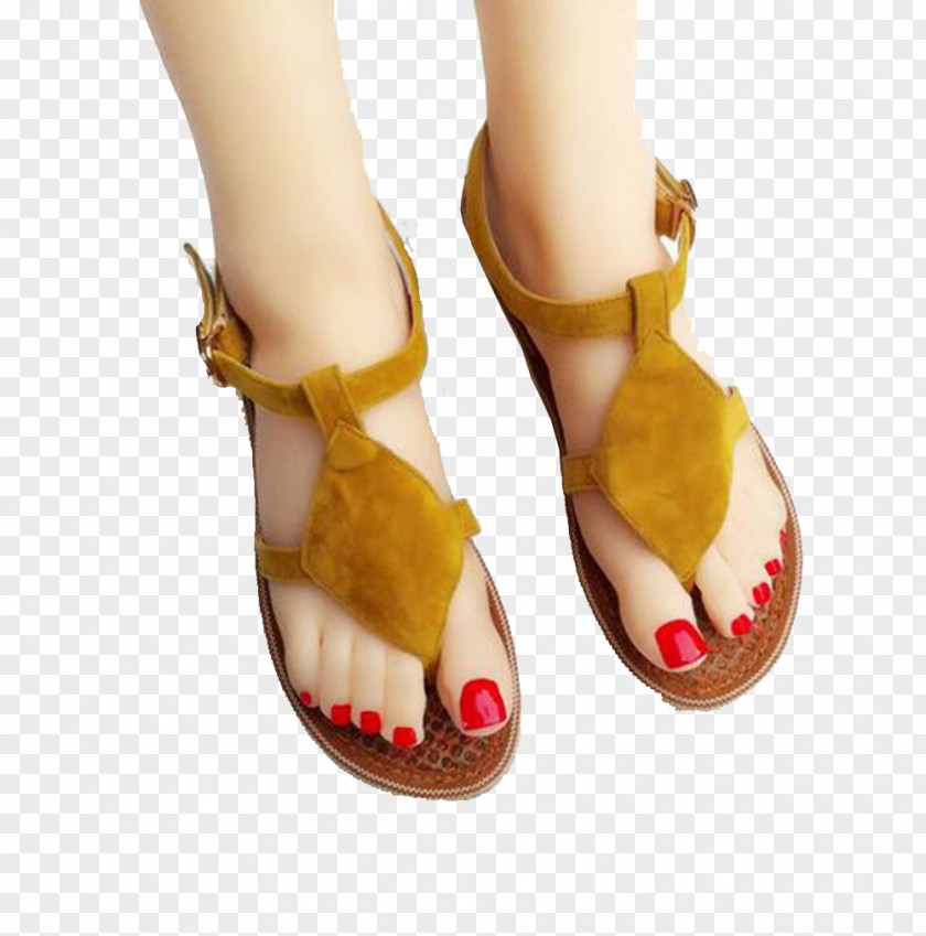 Brown Sandals Slipper Sandal Flip-flops Shoe PNG