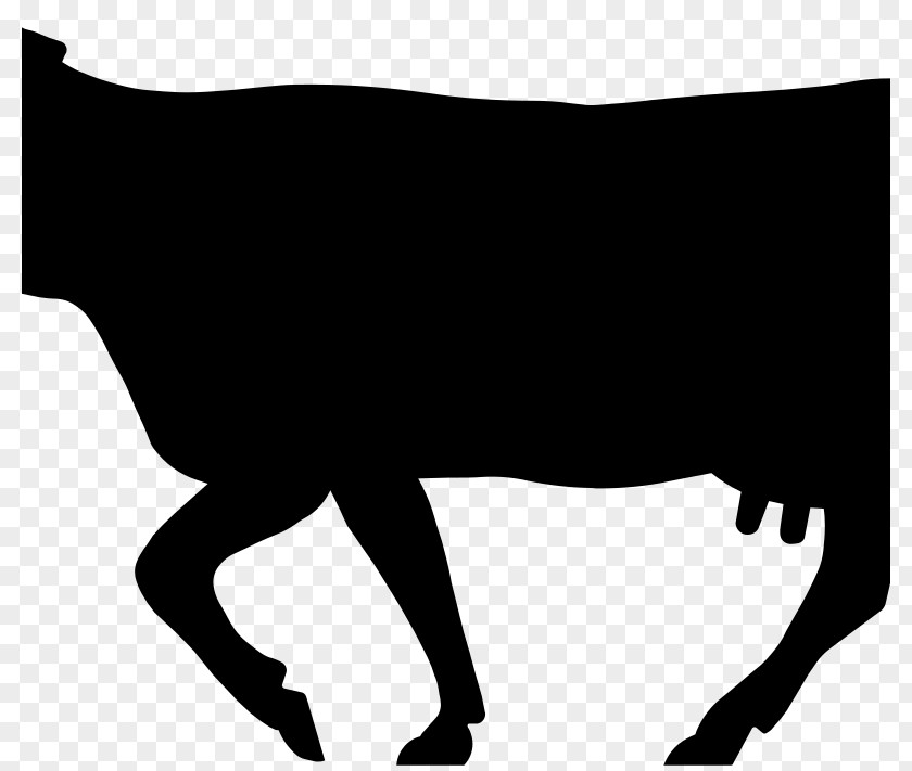 Cow Outline Beef Cattle Texas Longhorn Angus Ox Dairy PNG