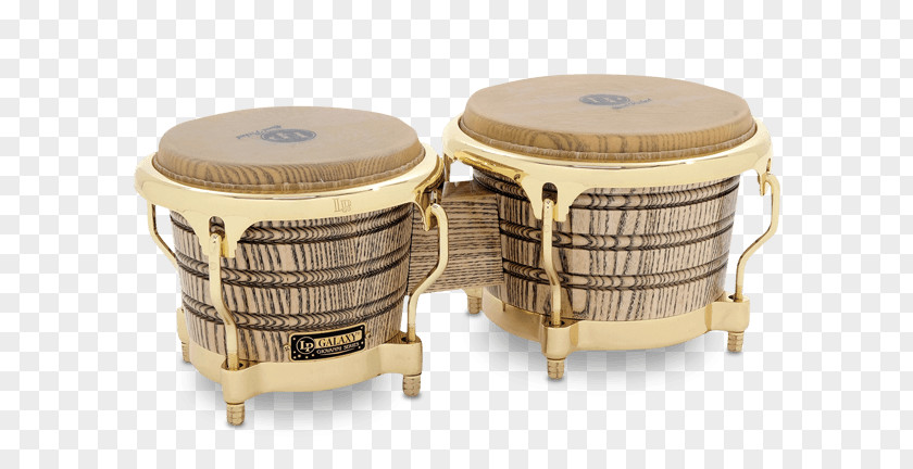Drum Bongo Latin Percussion PNG