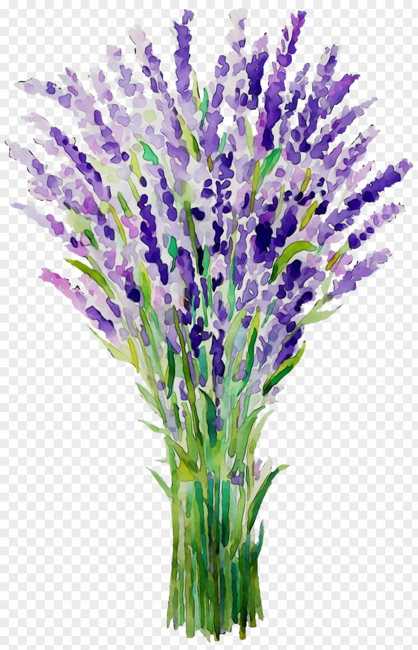 English Lavender French Plant Stem Cut Flowers Grasses PNG