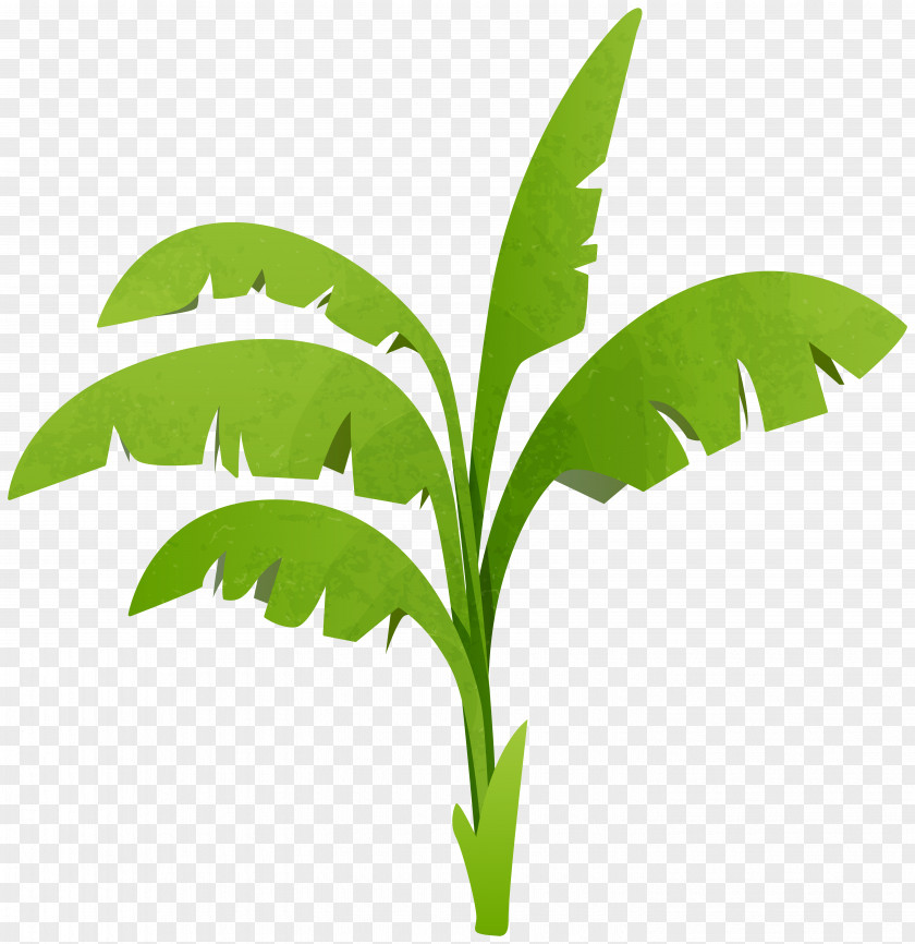 Green Plant Transparent PNG Clip Art Image Plants Vs. Zombies 2: It's About Time Heroes PNG
