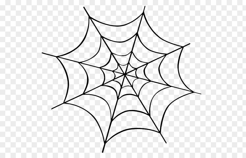 Halloween Spider Transparent Background Web Clip Art PNG