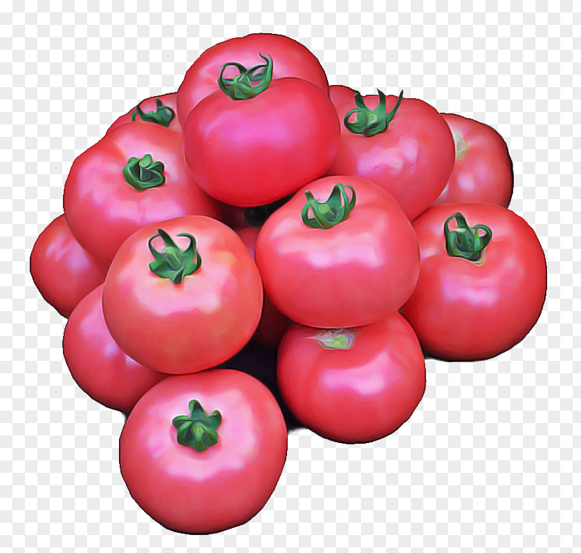 Ingredient Nightshade Family Tomato Cartoon PNG