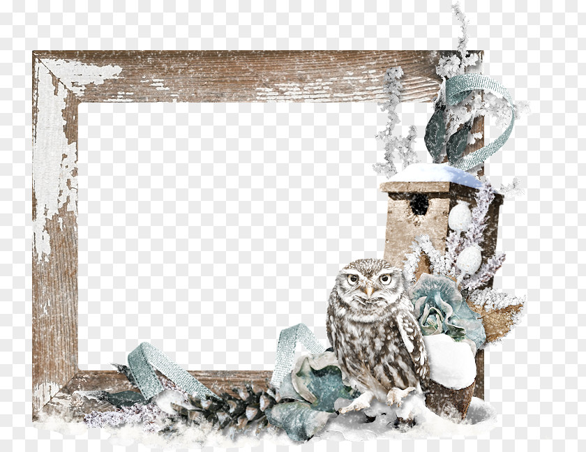 Owl Picture Frames PNG
