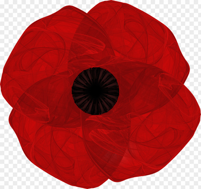 Poppy Coquelicot Maroon Flower Petal The Family PNG