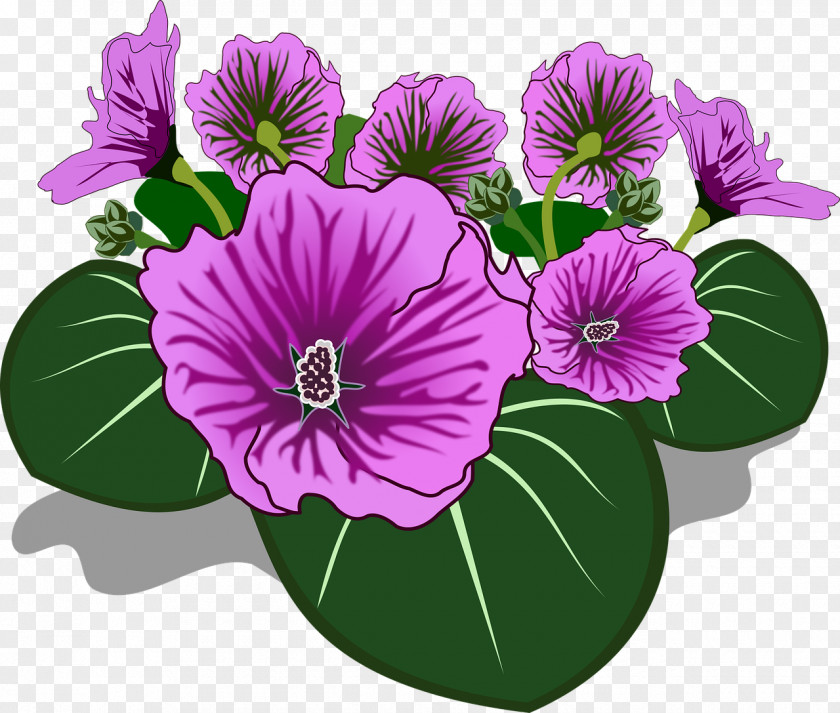 Wild Flowers Flower Drawing Color Clip Art PNG