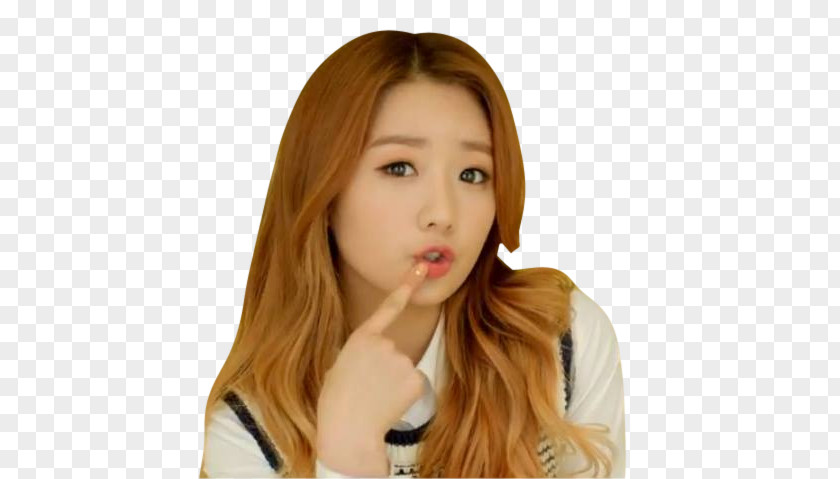 Yoon Bomi Apink Mr. Chu South Korea Pink Blossom PNG