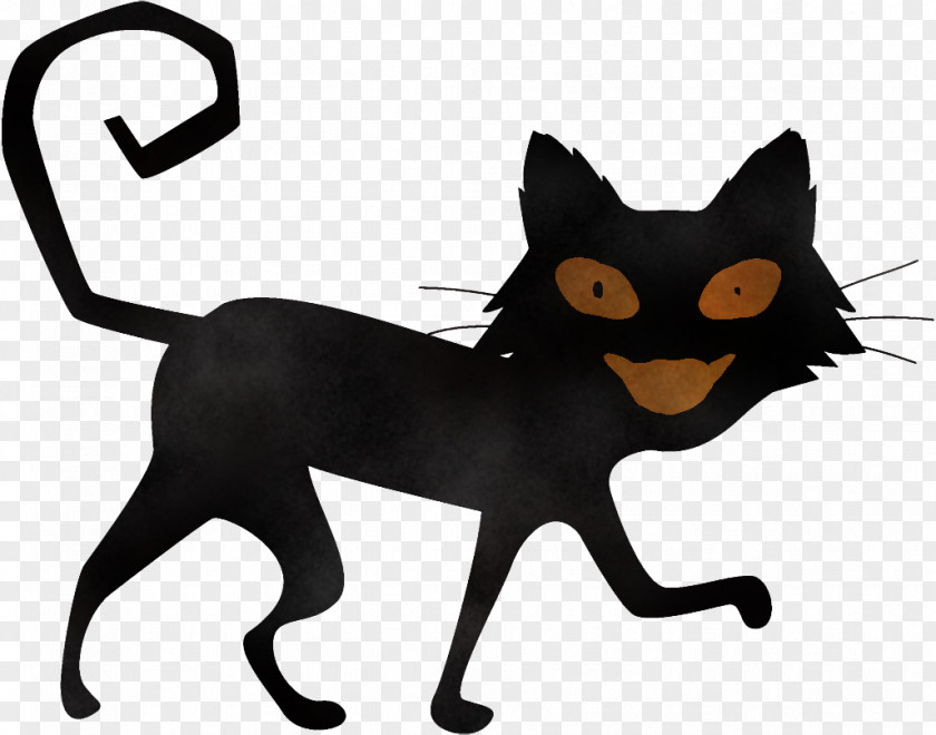 Black Cat Halloween PNG