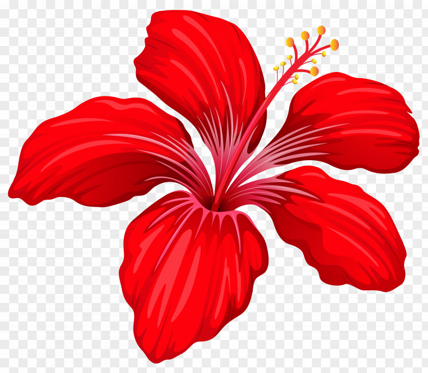 Exotic Red Flower Image Clip Art PNG