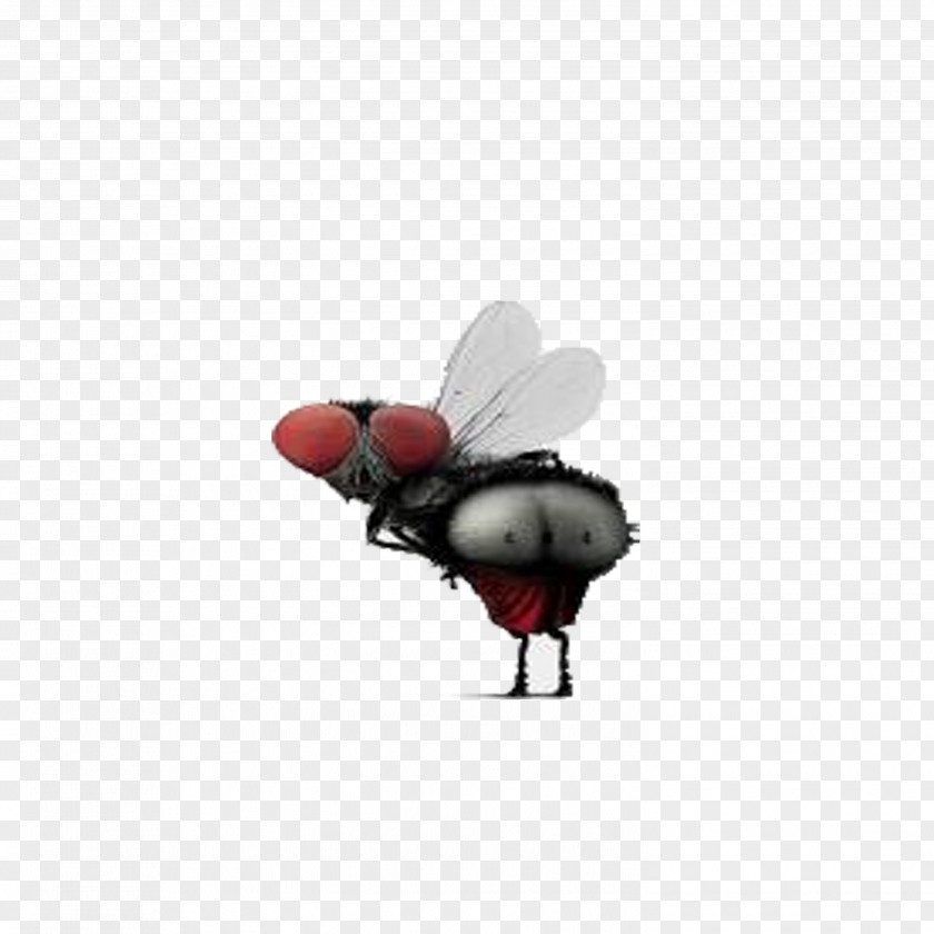 Funny Fly Humour Insect Wing Icon PNG